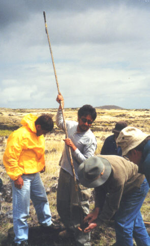 Taking the sample from the auger