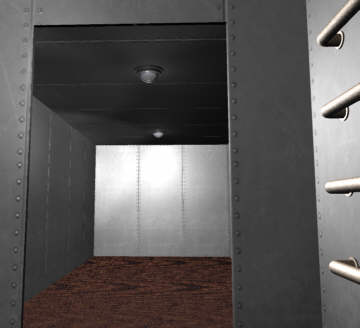 Looking into the cell