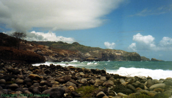 The shore just west of the mouth.