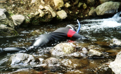 Shallow water snorkeling.